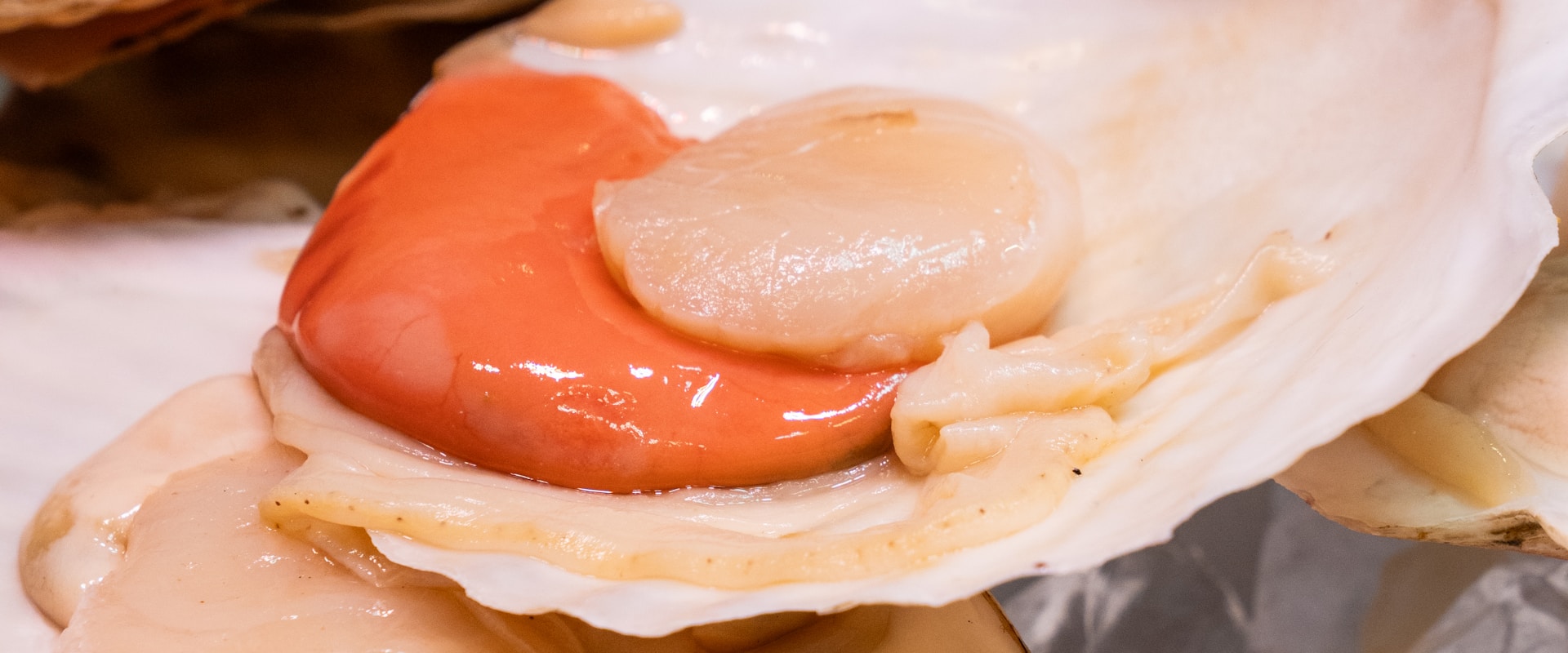 Mariscos del norte